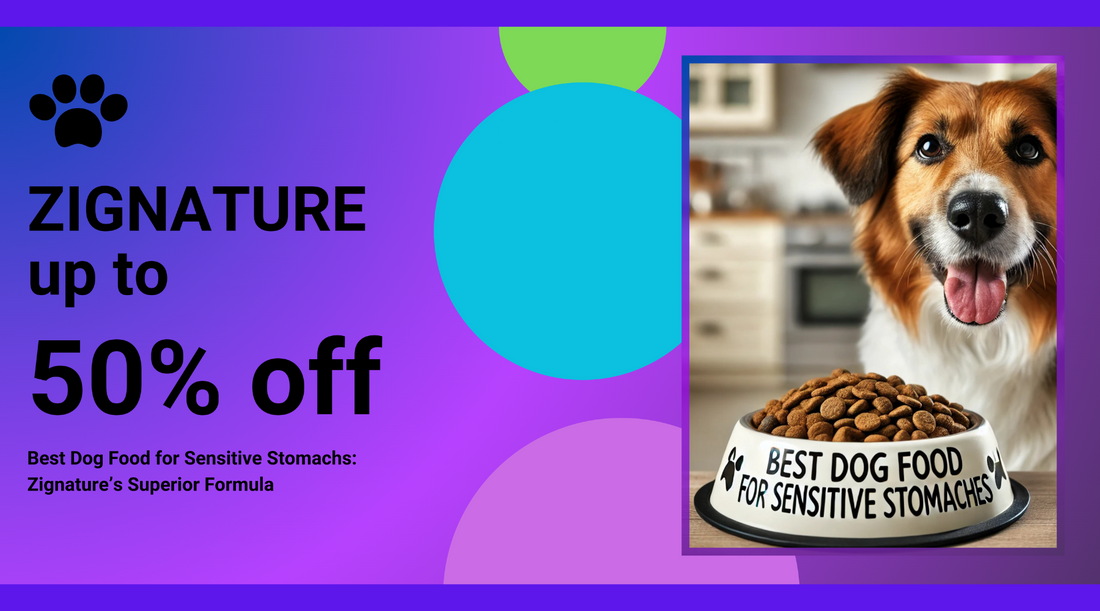 Best Dog Food for Sensitive Stomachs: Zignature’s Superior Formula